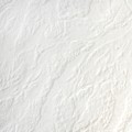 513b44594041b9a4804ec153d907