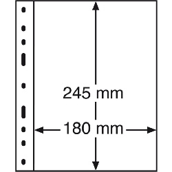 KARTA STRONA LEUCHTTURM OPTIMA 1C NA BANKNOTY