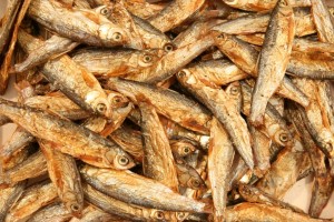STINTE STYNKA SUSZONA RYBKA NATURALNA GLOPEX 5KG