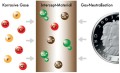 41765a201c1ff24ed70e5ee1fb89ff0e