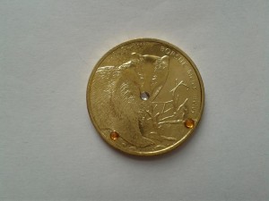 BORSUK ZWIERZĘTA ŚWIATA 2011 Z CYRKONIAMI