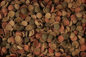 GLOPEX SMALL-WAFERS ZE SPIRULINĄ I SZPINAKIEM 100G