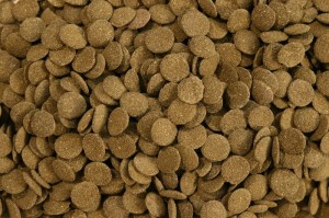 GLOPEX ALGEN-WAFERS ZE SPIRULINĄ 200 G