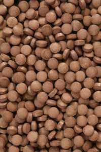 QUERCUSTABLET POKARM DLA RYB 50 G