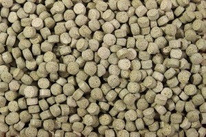 VEGETALTABLET SHRIMPS DLA KREWETEK KREWETKI 100 G