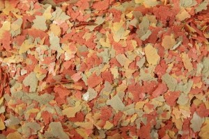GLOPEX WELON MIX 100G ZŁOTA RYBKA POKARM