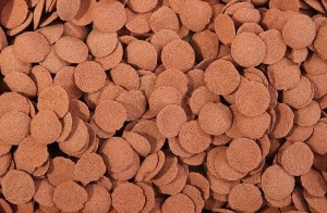 GLOPEX ALGEN-WAFERS RED WYBARWIAJĄCY 1 KG KILOGRAM