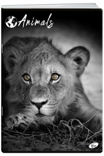 fd9089b04696828bb60e3ac77a6b