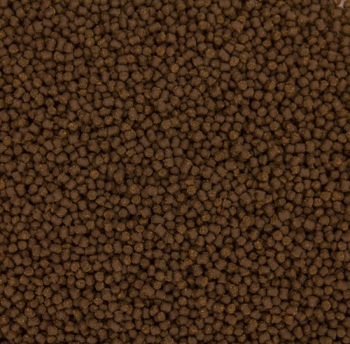 b3d2d58741bb8056a68c2bf156bb