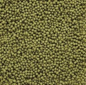 GLOPEX KOI ALGEN POKARM DLA RYB 500G GRANULAT 6mm
