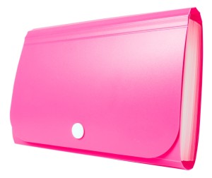 TETIS MINI ORGANIZER HARMONIJKOWY NA ZATRZASK