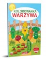 67be7fd047728619bf779e10205c