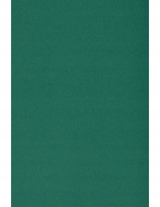 Papier ozdobny Burano english green 250g arkusz a4