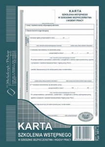 881-3 KARTA SZKOLENIA WSTĘPNEGO W DZIEDZINIE BHP