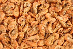 KREWETKI SUSZONE SHRIMPS GLOPEX DLA ŻÓŁWIA 5KG