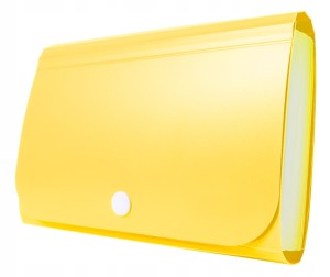 TETIS MINI ORGANIZER HARMONIJKOWY NA BANKNOTY