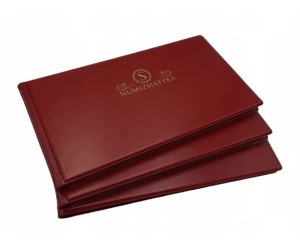 KLASER ALBUM NA BANKNOTY PREMIUM BORDOWY