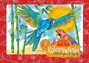 Kolorowanka książeczka Młodego Artysty Galeria 2 MIPRO
