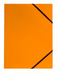 TETIS TECZKA KARTONOWA Z GUMKĄ POMARAŃCZ BT600-P