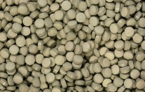 Witaminy dla psa z dziką różą pokrzywą spiruliną tabletki vita-plus 500g