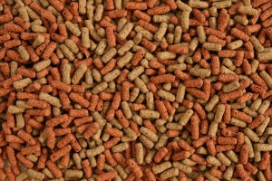 POKARM DLA ŻÓŁWIA WODNEGO TURTLE MIX W GLOPEX 1KG