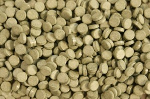 ALGENTABLET TABLETKI ZE SPIRULINĄ 20% POKARM 100G