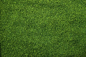 ALGEN-GRAN GRANULAT ZE SPIRULINĄ 0,5-0,8 MM 1000 G