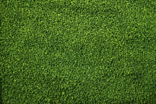fcfae19b7afb1ddf6c7d2a02ee220c6d.jpg