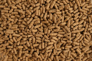 POKARM DLA ŻÓŁWIA LĄDOWEGO TURTLE MIX L GLOPEX 1KG
