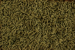 POKARM DLA RYB ALGEN STICKS PAŁECZKI ZE SPIRULINĄ 200G GLOPEX