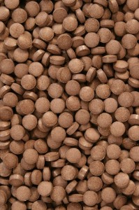 QUERCUSTABLET POKARM DLA RYB 100 G