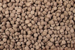 GLOPEX MEALTABLETT SHRIMPS POKARM DLA KREWETEK PROTEINOWY 50 G