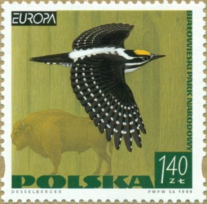 Fi 3615 Europa - CEPT (X) - parki narodowe