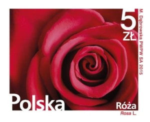 Fi 4639 Kwiaty i owoce - Róża
